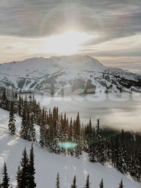 Big with watermark image