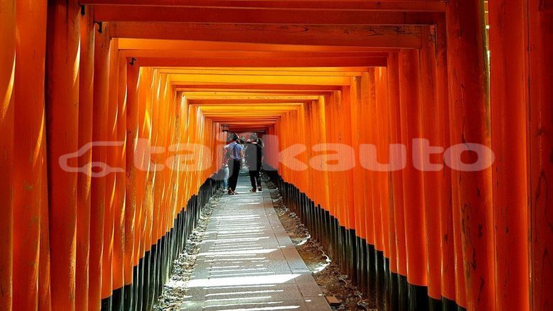 Big with watermark image