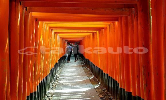 Medium with watermark image