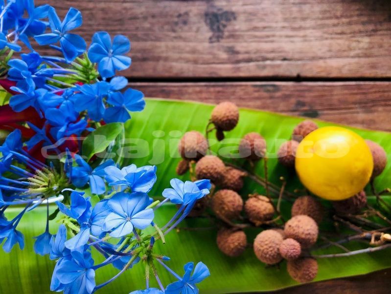 Big with watermark image