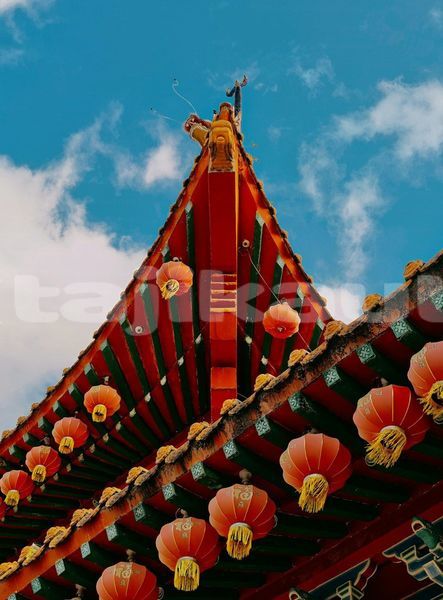 Big with watermark image