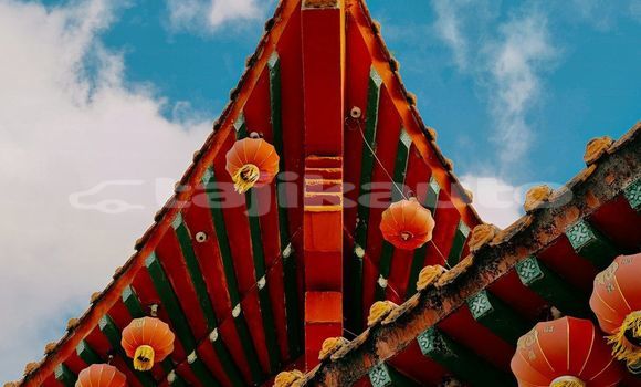 Medium with watermark image