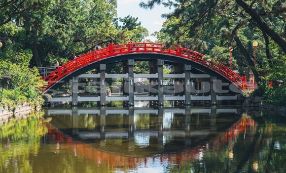 Medium with watermark image