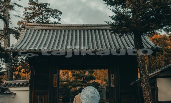 Medium with watermark image