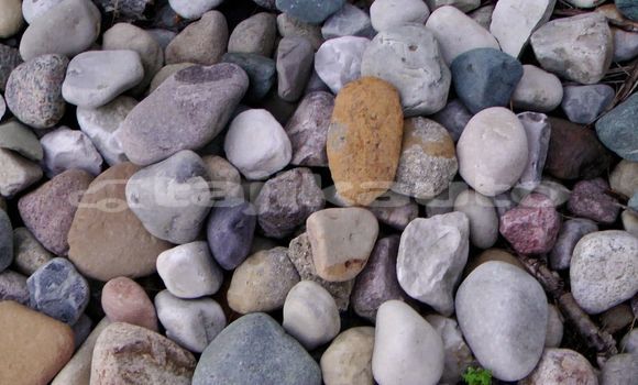 Medium with watermark image