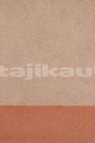 Big with watermark image