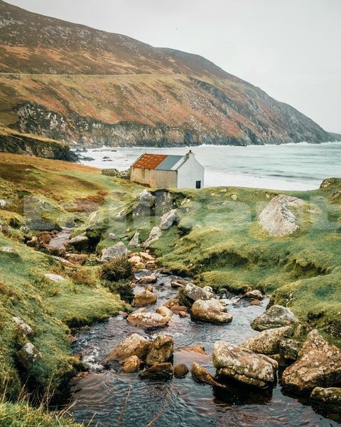 Big with watermark image