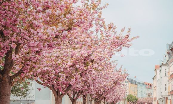 Medium with watermark image