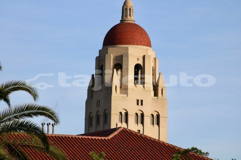 Big with watermark image