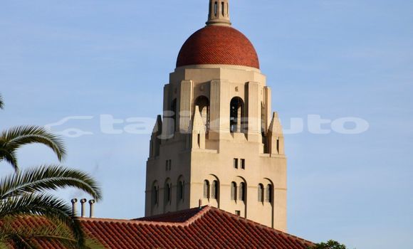 Medium with watermark image