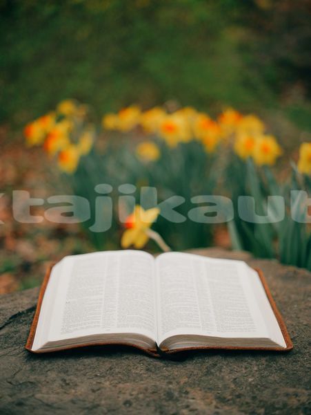Big with watermark image