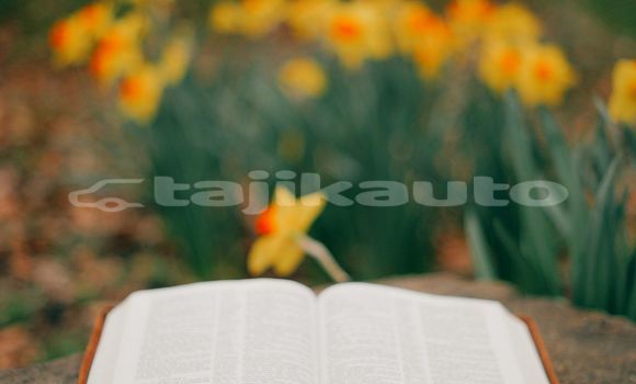 Medium with watermark image