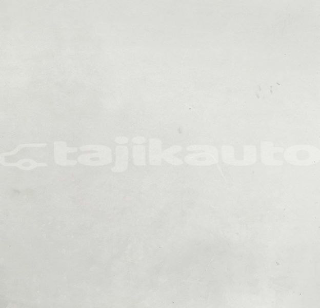 Big with watermark image