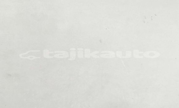 Medium with watermark image