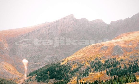 Medium with watermark image