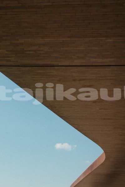 Big with watermark image