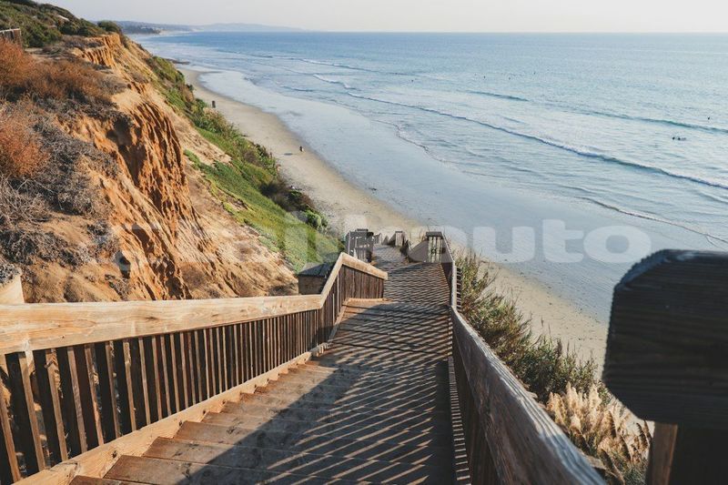 Big with watermark image