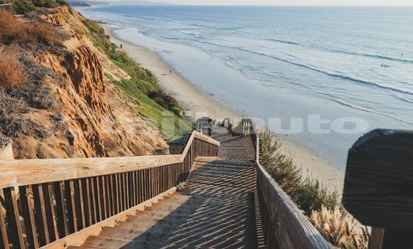 Medium with watermark image