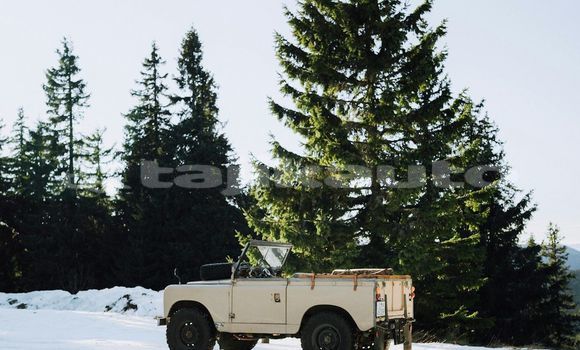 Medium with watermark image