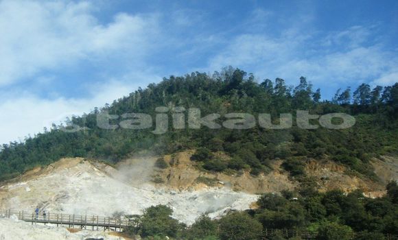 Medium with watermark image