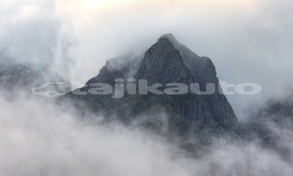 Medium with watermark image