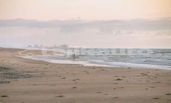 Medium with watermark image