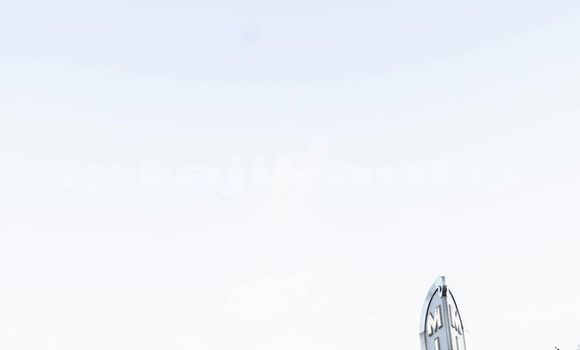 Medium with watermark image