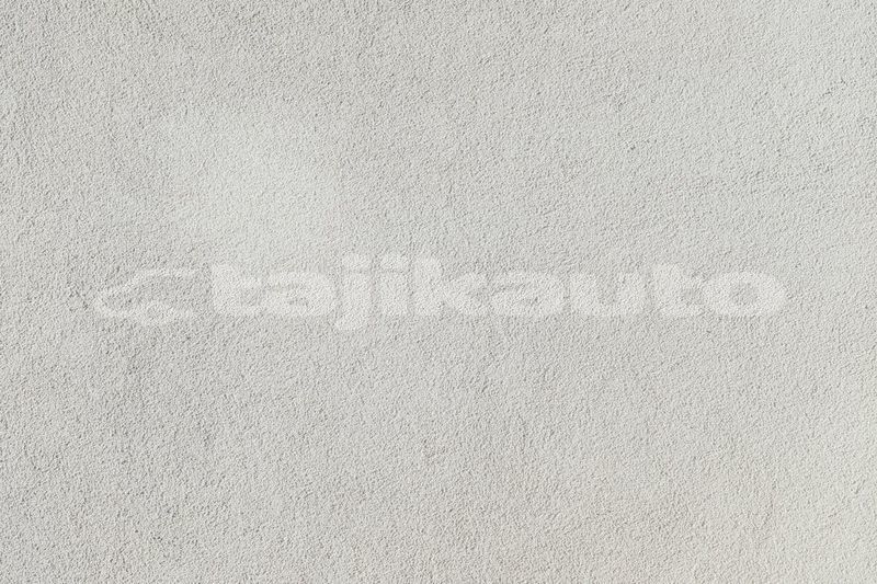 Big with watermark image