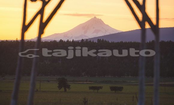 Medium with watermark image