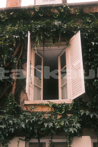 Big with watermark image