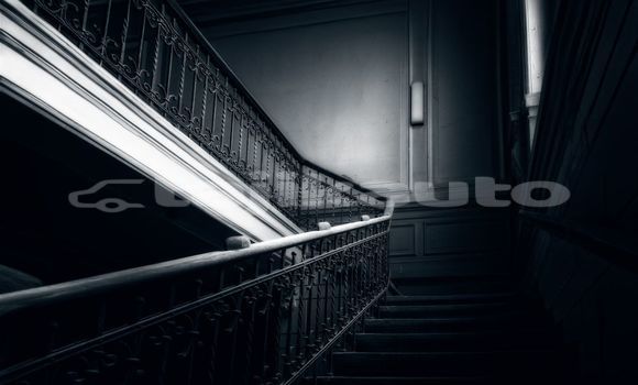 Medium with watermark image