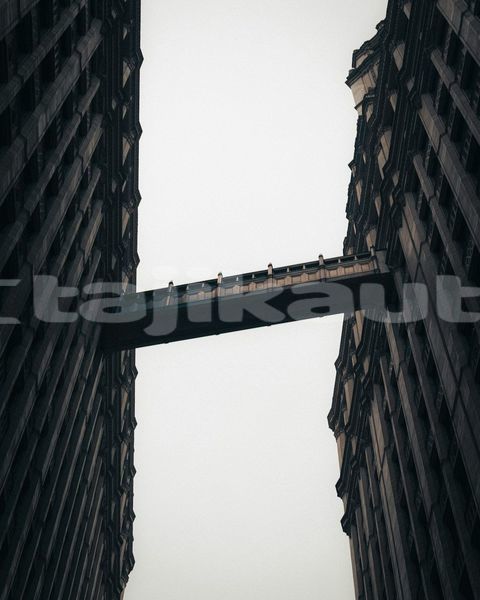 Big with watermark image
