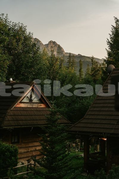 Big with watermark image