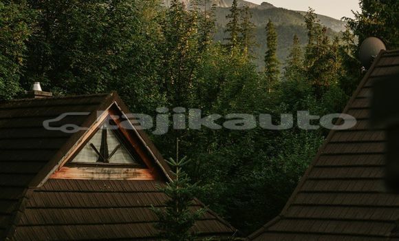 Medium with watermark image
