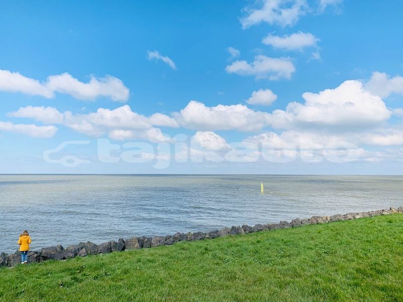Big with watermark image