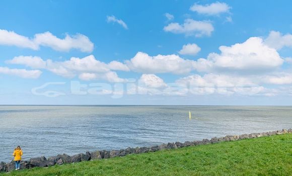 Medium with watermark image