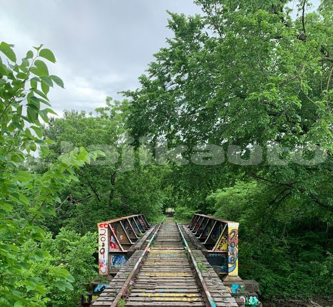 Big with watermark image
