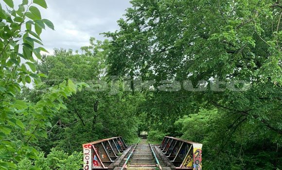 Medium with watermark image