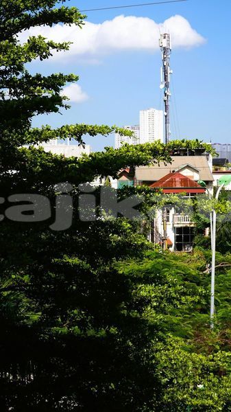 Big with watermark image