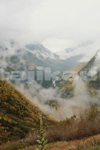 Big with watermark image