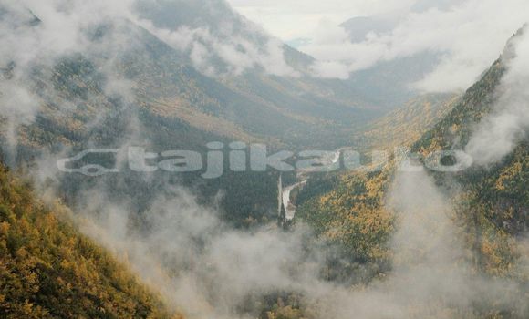Medium with watermark image
