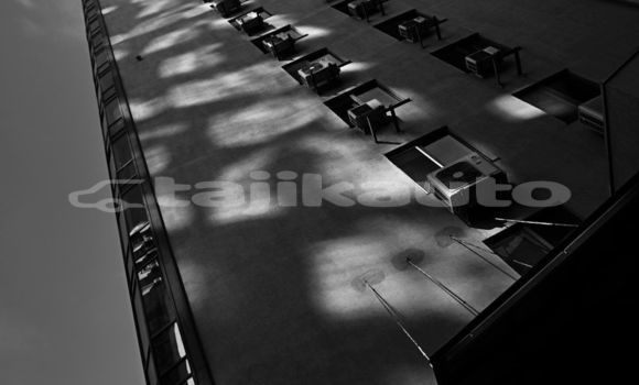 Medium with watermark image