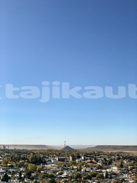 Big with watermark image