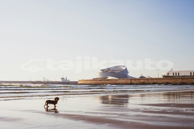 Big with watermark image