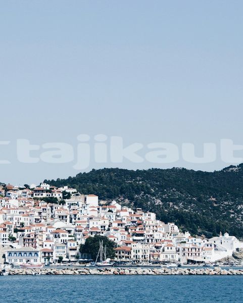 Big with watermark image