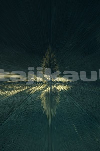 Big with watermark image