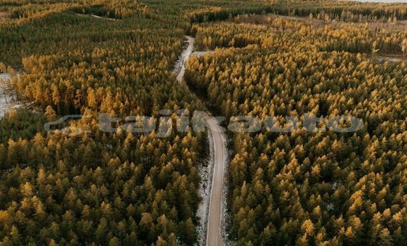Medium with watermark image