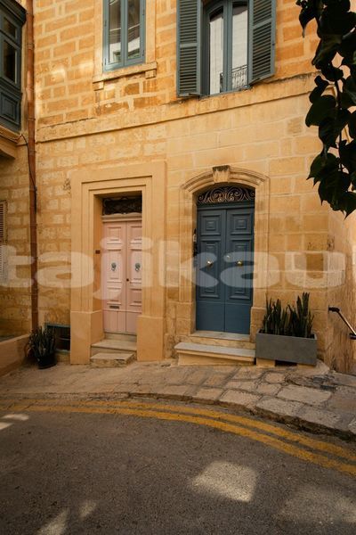Big with watermark image