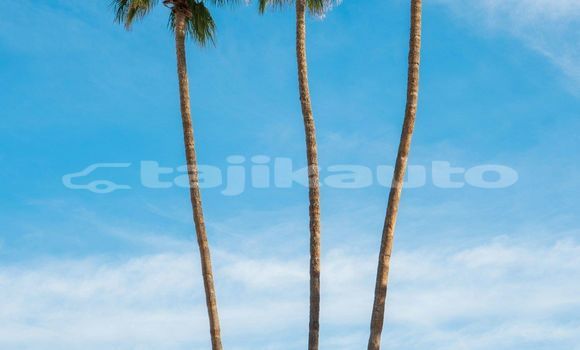 Medium with watermark image
