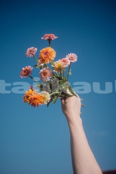 Big with watermark image